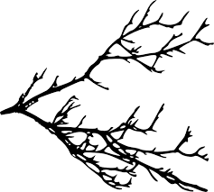 Silhouette Clipart Tree Branch Silhouette Tree Branch Transparent Free For Download On Webstockreview 2020