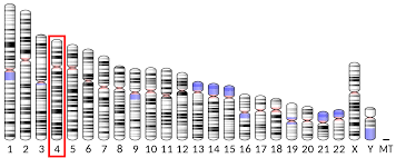 In addition to their role in cancer diagnosis, some tumor marker levels are measured before treatment to help doctors plan appropriate therapy. Alpha Fetoprotein Wikipedia