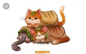 Food Burrito Cute Animals Cute Animal Drawings Cute Food Drawings