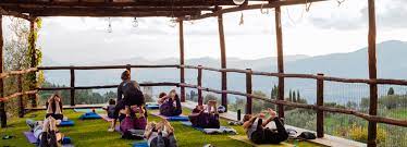 Maybe you would like to learn more about one of these? The Best Yoga Teacher Training Programs Europe East West