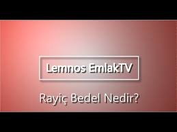 Rayiç bedel belgesi gayrimenkulün bağlı bulunduğu belediyeden alınır. Rayic Bedel Nedir Nasil Ogrenilir Youtube