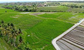 SIGADIS | Desa Belumbang