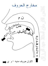 World Gambarajah Makhraj Huruf Klinik Al Quran Gambar Islam Facts Learn Quran Quran