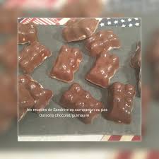 Oursons Chocolat Guimauve Recette Facile Et Inratable Les Recettes De Sandrine Au Companion Ou Pas Recette Facile Recette Guimauve