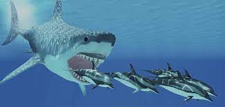 Check spelling or type a new query. Riesiger Urzeithai Grosse Klappe Nix Zu Futtern Warum Megalodon Ausgestorben Ist Welt