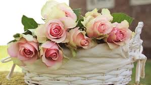 Check spelling or type a new query. 30 Free Flowers In Basket Flora Images