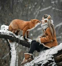 I Can T Give You Anything But Love Baby Can T Give You Anything But Love Baby Tovary Dlya Zhivotnyh Lisyata Zhivotnye