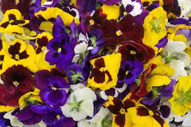 Check spelling or type a new query. The Corner Table Podcast Edible Flower Power Food Drink Madison Com