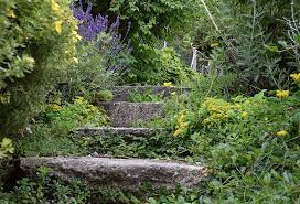 Alten garten neu gestalten | es ist ein äußerst gutes gefühl, einen optisch ansprechenden gartenraum zu schaffen, ein stück natur zu abnehmen und es optisch zu ihrem eigenen zu lösen, das dauerhafte vorteile bietet. Verwilderter Garten Herrichten Neu Gestalten