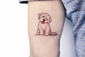 Ảnh gái xăm hình vùng kín. Tuyá»ƒn Táº­p Hinh XÄƒm Ä'á»™ng Váº­t Ä'ang Yeu Cho Báº¡n Gai Pháº§n 1 Owl Ink Studio XÄƒm Hinh Nghá»‡ Thuáº­t