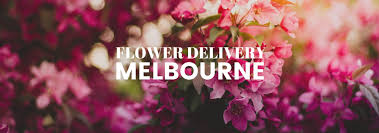 Flowers on the hillside, bloomin' crazy crickets talkin' back and forth in rhyme blue river runnin' slow and lazy i could stay with you forever and never realize the time. The 30 Best Flower Delivery Services In Melbourne 2021