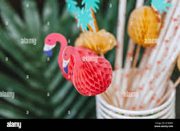 Decoraciones Tropicales De Fiesta Pompones De Papel De Colores Fiesta Tematica Tropical Fiesta En El Jardin Fotografia De Stock Alamy