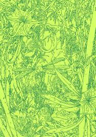 · annihilation book 2 (hardcover) published: Www Ericnyquist Com American Illustration American Photography Art