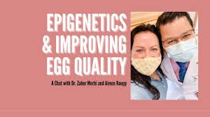 Everything you know about egg quality is a lie {A Fertility Expert's  Experience!}