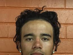 High school football: Mountain Crest Mustangs 2017 preview