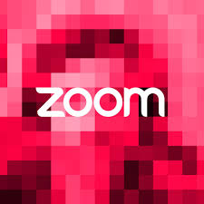The rise and fall of the Zoom penis | WIRED