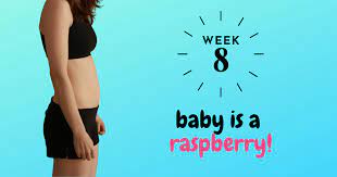 8 Weeks Pregnant Bumpdate Baby Is A Raspberry