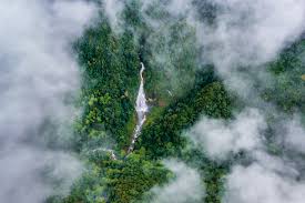 雲南哀牢山國家級自然保護區門票【2026】- 預約、開放時間 ...