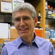 Griendling Cardiovascular Lab