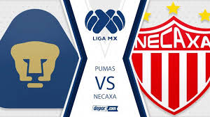 Club necaxa vs pumas unam stream is not available at bet365. Pumas Vs Necaxa En Vivo En Directo Minuto A Minuto Por La Fecha 12 Del Torneo Guard1anes Ap Noticias Peru