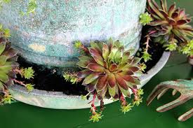 Maybe you would like to learn more about one of these? Farmhouse Garden Planter Ideas House Of Hawthornes