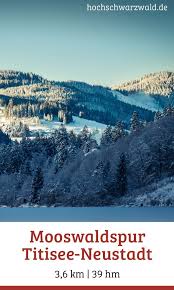 Die weltbesten skispringer zu gast im schwarzwald. Mooswaldspur Hochschwarzwald Tourismus Gmbh Schwarzwald Hochschwarzwald Kanufahren