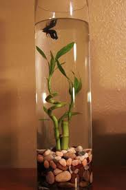 However, depending on the temperament of your betta the. Betta Fish Flower Vase Decor For You