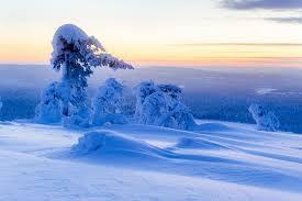 Uusimaa ist eine landschaft in finnland. Bilder Von Lappland Landschaft Finnland Natur Winter Schnee