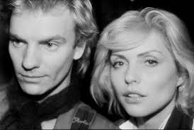 The Best of Chris Stein