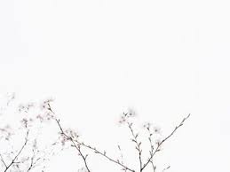 Pin Di Wallpaper Keren