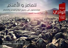 مزرعة الوادي متخصصون فى جميع انواع الماعز والأغنام y من اكبر المزارع المعلنة معنا فى الإصدار الرابع من دليل مزرعتى 201 print magazine natural landmarks vega