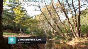 Piknik alanı nerede gebze ilçesi ve kocaeli ilinde yer alır, piknik alanı haritası ve yakın yerlere mesafeleri haritada gösterilmektedir. Cinarlidere Piknik Alani Derince Youtube