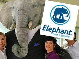 How to cancel your elephant car insurance policy. Elephant Auto Insurance To Bring 1 000 New Jobs To Henrico