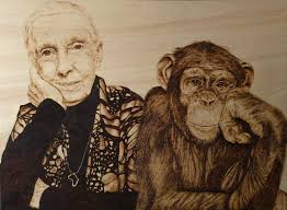 Honoring the memory of a lost soul with a drone tribute