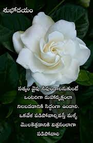 Good Morning Saved By Sriram Morning Greeting Good Morning Greetings Morning Greetings