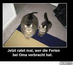 Bildergebnis für bilder sommerferien lustig