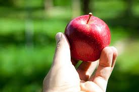 Save up to 50% at eve's temptation. The Honeymoon Is Over Lessons From Adam And Eve Stepping Stones