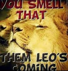 Birthday Coming Up Meme Leo Pin By Renita Evans On Leo The Lion Leo Season Memes Leo Season Leo Quotes
