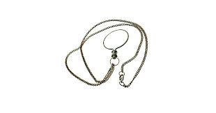 Image result for Monotes magnificus