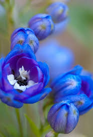 We did not find results for: Pin On Flower Arrangement Ideas