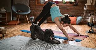 Include these poses into your daily routine for overall improvements in strength and fitness. These Fitness Studios Are Live Streaming Workout Classes For Free During The Coronavirus Outbreak Cbs News