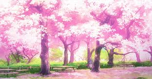 Put this into your description: Anime Cherry Blossom Tree Wallpaper For You