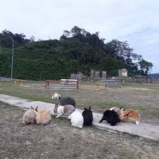 Sejak diosis keningau di wujudkan pada tahun 1993, gerakan pembaharuan karismatik katolik ini di kenali sebagai kipkk dan telah menjalankan 3 konvensi sebelum ini. 18 Tempat Menarik Di Daerah Keningau 2019 Infosantai