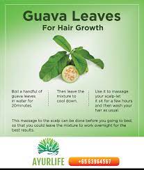 The simplest way to healthy, long and lustrous hair is a regular head massage! Pin On Health Tips