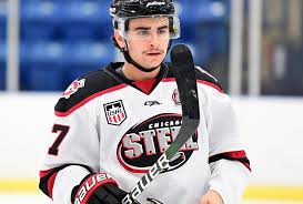 We did not find results for: Ushl 2020 21 Playoff Preview Expect Entertaining Hockey With Chicago A Clear Favourite