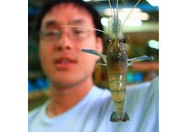 Designer Spotlight: Brian Chan