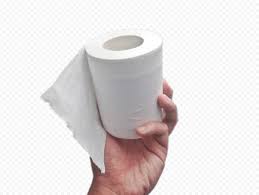 Hand Hold Paper Roll Toilet Wc Bathroom Hygiene Wc Bathroom Toilet Hygiene