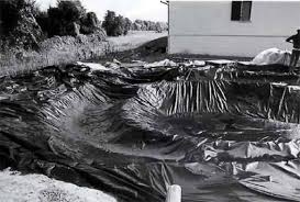 Les Amis De L Aquarium 1932