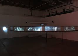 Bildergebnis für Bosmat Alon