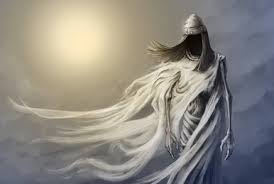 Image result for Burttia